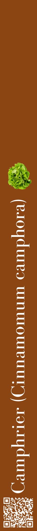Étiquette de : Cinnamomum camphora - format a - style blanche30bod avec qrcode et comestibilité simplifiée