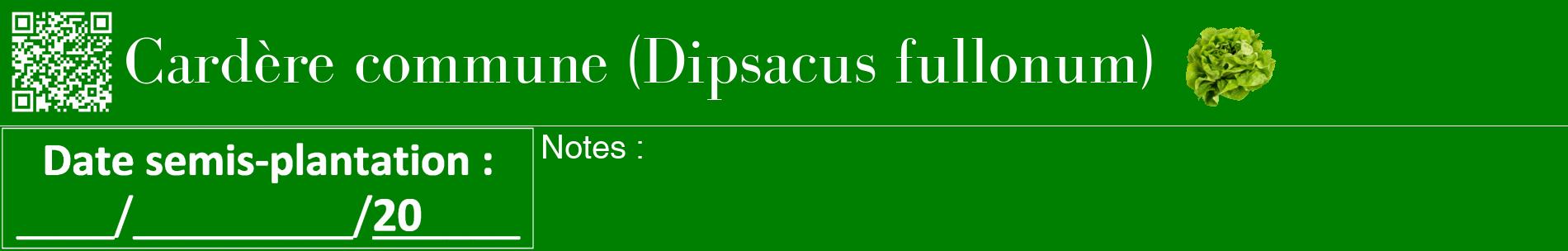 Étiquette de : Dipsacus fullonum - format a - style blanche9basiquebod avec qrcode et comestibilité simplifiée