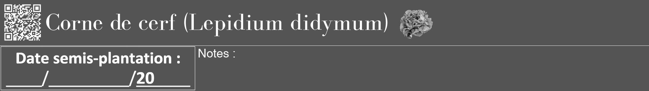 Étiquette de : Lepidium didymum - format a - style blanche36bod avec qrcode et comestibilité simplifiée