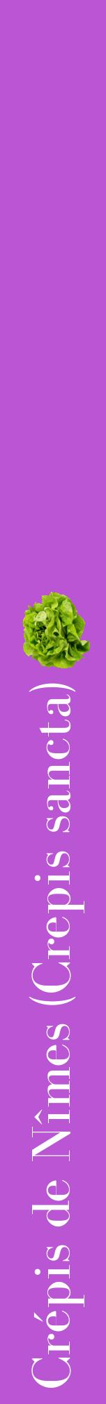 Étiquette de : Crepis sancta - format a - style blanche50bod avec comestibilité simplifiée