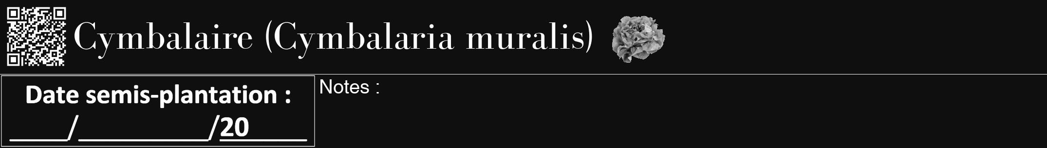 Étiquette de : Cymbalaria muralis - format a - style blanche7bod avec qrcode et comestibilité simplifiée