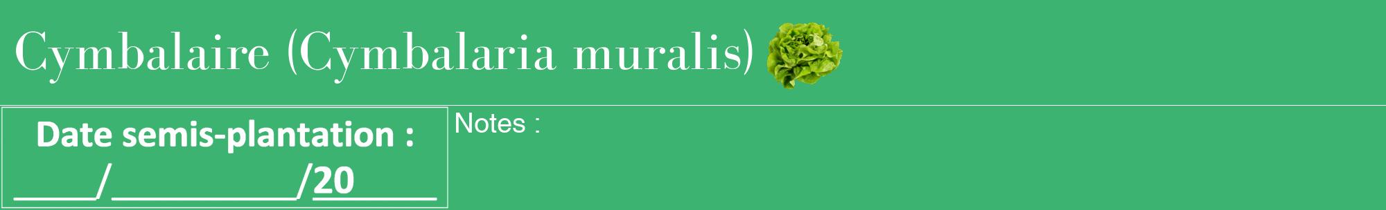 Étiquette de : Cymbalaria muralis - format a - style blanche12bod avec comestibilité simplifiée