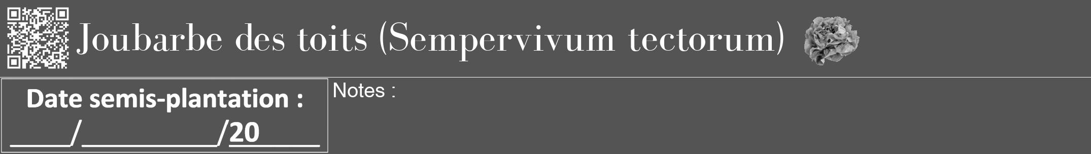 Étiquette de : Sempervivum tectorum - format a - style blanche36bod avec qrcode et comestibilité simplifiée
