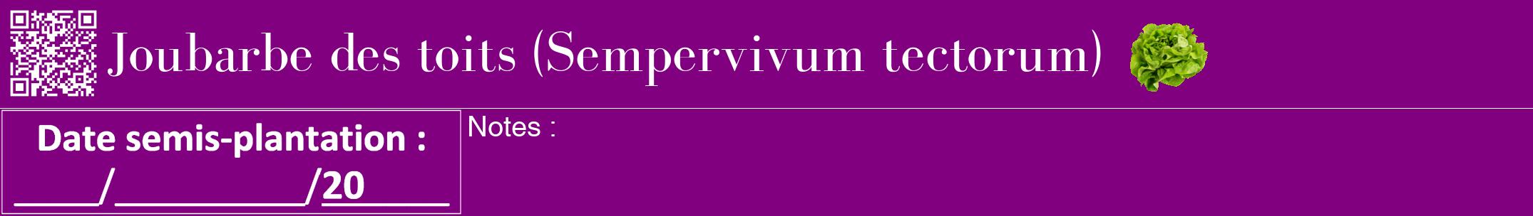 Étiquette de : Sempervivum tectorum - format a - style blanche46bod avec qrcode et comestibilité simplifiée