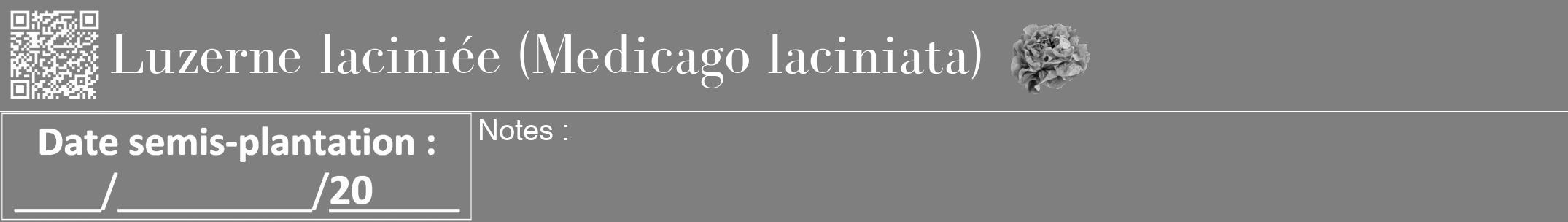Étiquette de : Medicago laciniata - format a - style blanche57bod avec qrcode et comestibilité simplifiée