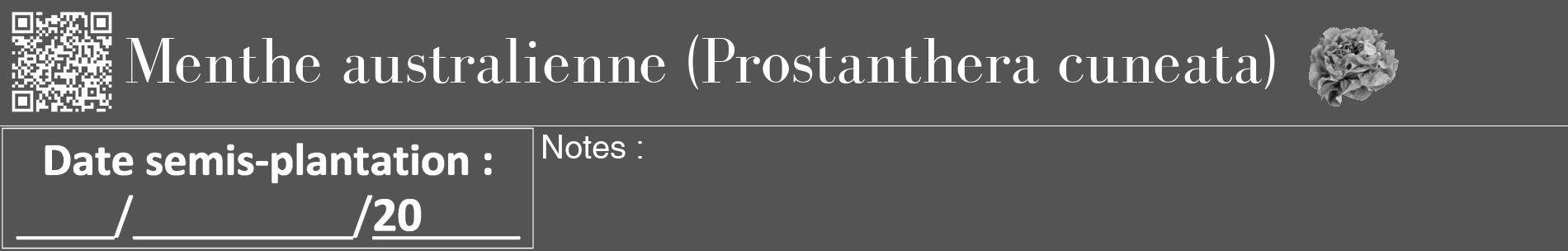 Étiquette de : Prostanthera cuneata - format a - style blanche30basiquebod avec qrcode et comestibilité simplifiée