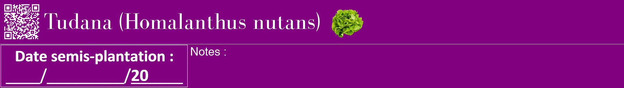 Étiquette de : Homalanthus nutans - format a - style blanche46bod avec qrcode et comestibilité simplifiée