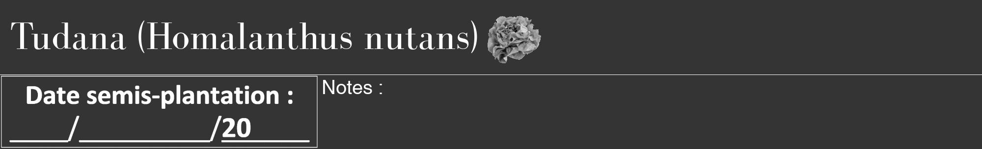 Étiquette de : Homalanthus nutans - format a - style blanche46bod avec comestibilité simplifiée
