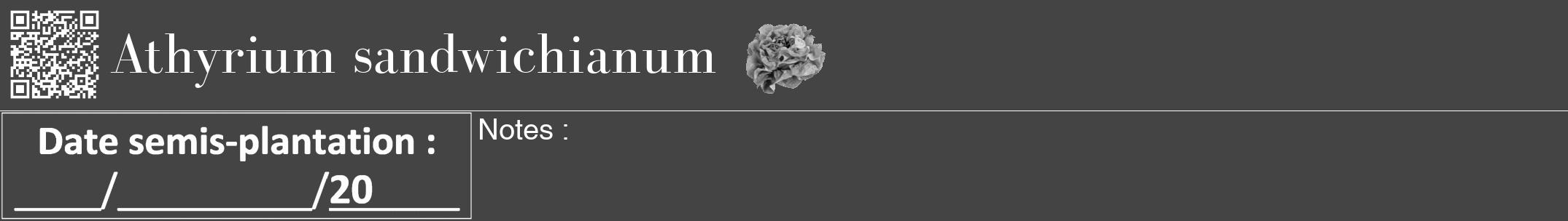 Étiquette de : Athyrium sandwichianum - format a - style blanche48bod avec qrcode et comestibilité simplifiée