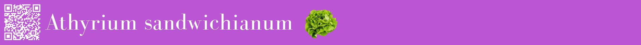 Étiquette de : Athyrium sandwichianum - format a - style blanche50basiquebod avec qrcode et comestibilité simplifiée