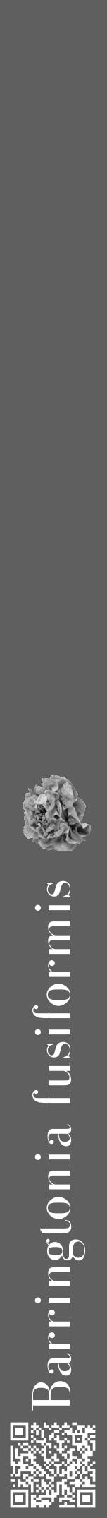 Étiquette de : Barringtonia fusiformis - format a - style blanche10bod avec qrcode et comestibilité simplifiée - position verticale