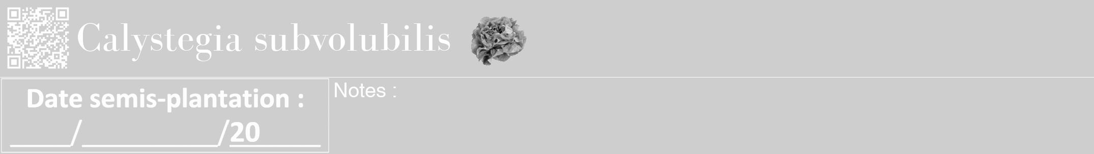 Étiquette de : Calystegia subvolubilis - format a - style blanche17bod avec qrcode et comestibilité simplifiée