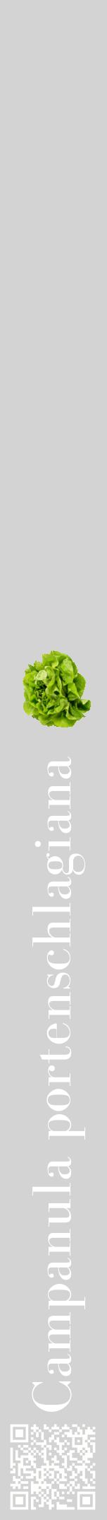 Étiquette de : Campanula portenschlagiana - format a - style blanche56bod avec qrcode et comestibilité simplifiée