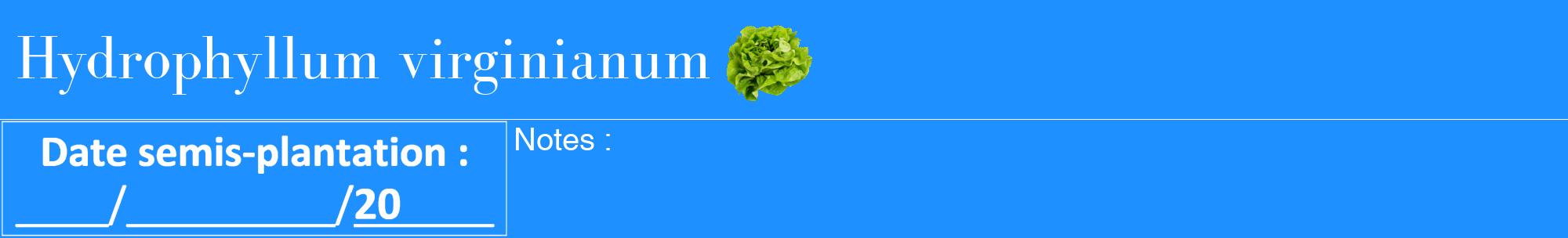 Étiquette de : Hydrophyllum virginianum - format a - style blanche3bod avec comestibilité simplifiée