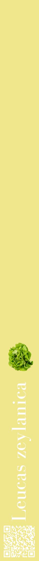Étiquette de : Leucas zeylanica - format a - style blanche20bod avec qrcode et comestibilité simplifiée