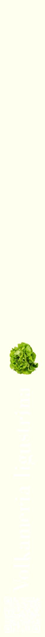 Étiquette de : Volkameria ligustrina - format a - style blanche19bod avec qrcode et comestibilité simplifiée