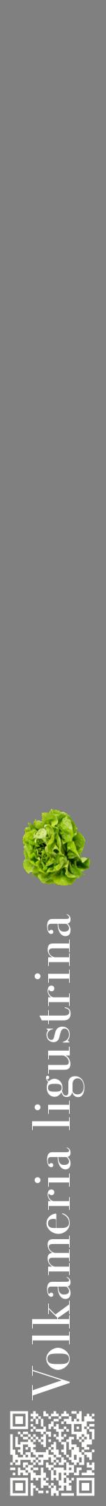 Étiquette de : Volkameria ligustrina - format a - style blanche57bod avec qrcode et comestibilité simplifiée