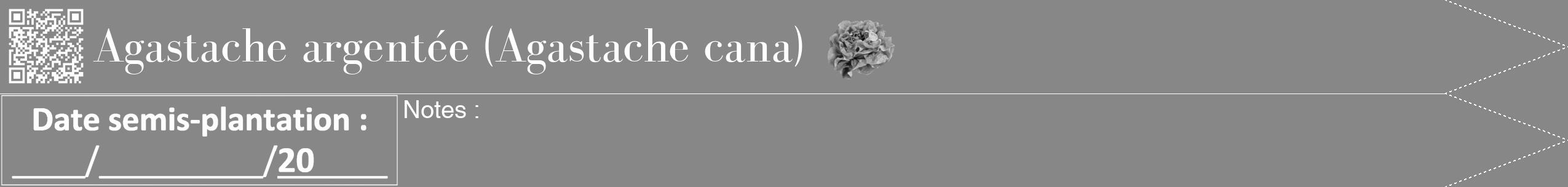 Étiquette de : Agastache cana - format b - style blanche12bod avec qrcode et comestibilité simplifiée