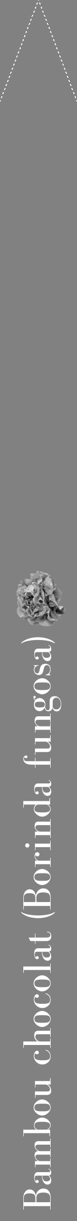 Étiquette de : Borinda fungosa - format b - style blanche50bod avec comestibilité simplifiée - position verticale