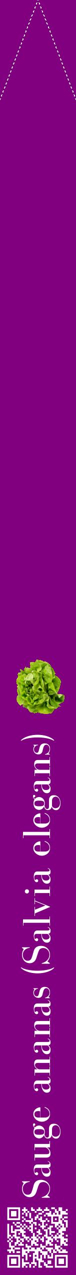 Étiquette de : Salvia elegans - format b - style blanche46bod avec qrcode et comestibilité simplifiée