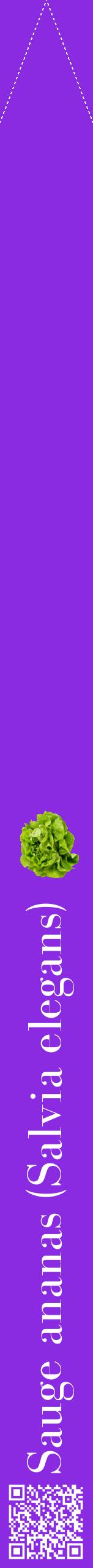Étiquette de : Salvia elegans - format b - style blanche49bod avec qrcode et comestibilité simplifiée