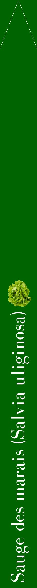 Étiquette de : Salvia uliginosa - format b - style blanche8bod avec comestibilité simplifiée