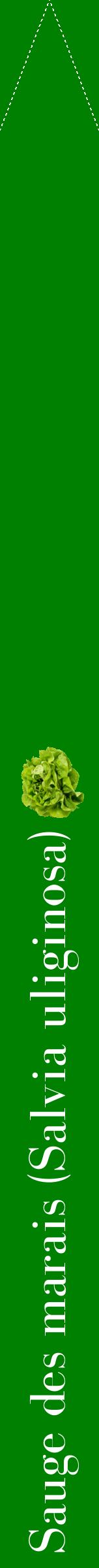Étiquette de : Salvia uliginosa - format b - style blanche9bod avec comestibilité simplifiée