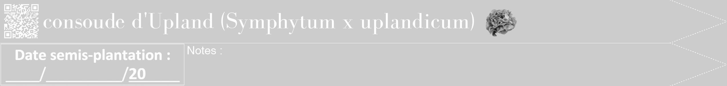 Étiquette de : Symphytum x uplandicum - format b - style blanche0bod avec qrcode et comestibilité simplifiée