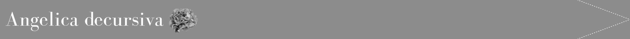 Étiquette de : Angelica decursiva - format b - style blanche2bod avec comestibilité simplifiée