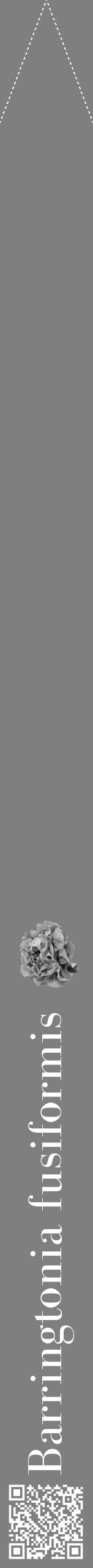 Étiquette de : Barringtonia fusiformis - format b - style blanche57bod avec qrcode et comestibilité simplifiée - position verticale