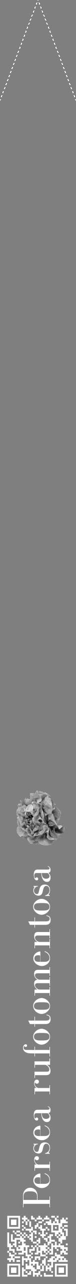 Étiquette de : Persea rufotomentosa - format b - style blanche57bod avec qrcode et comestibilité simplifiée - position verticale