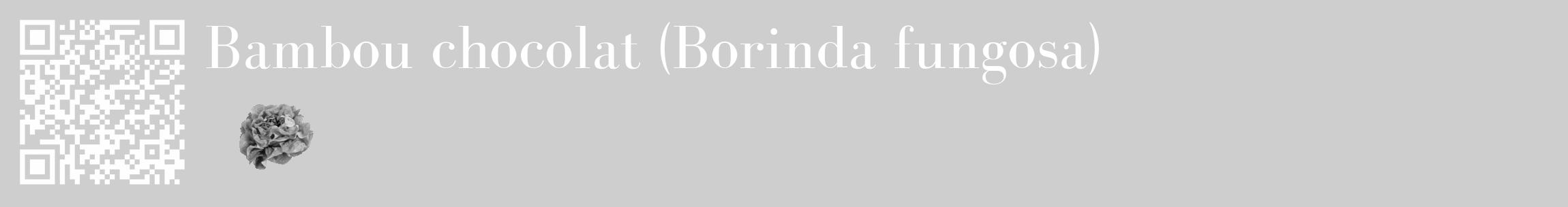 Étiquette de : Borinda fungosa - format c - style blanche17_basique_basiquebod avec qrcode et comestibilité simplifiée