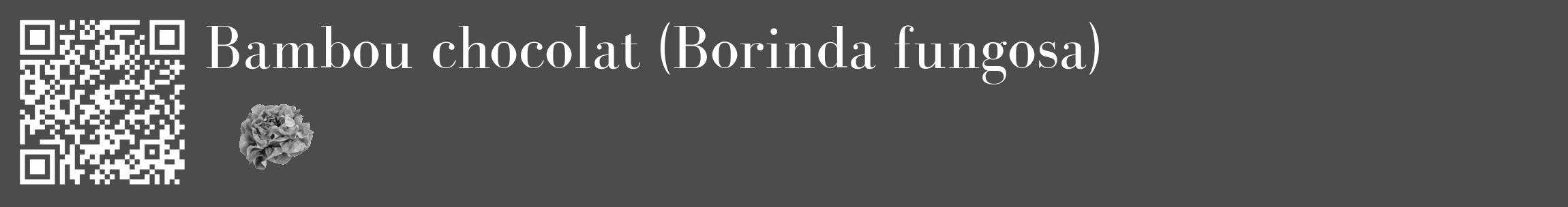 Étiquette de : Borinda fungosa - format c - style blanche27_basique_basiquebod avec qrcode et comestibilité simplifiée