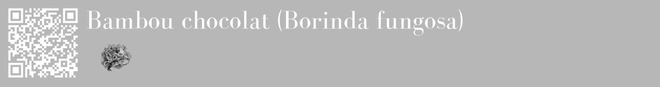 Étiquette de : Borinda fungosa - format c - style blanche39_basique_basiquebod avec qrcode et comestibilité simplifiée