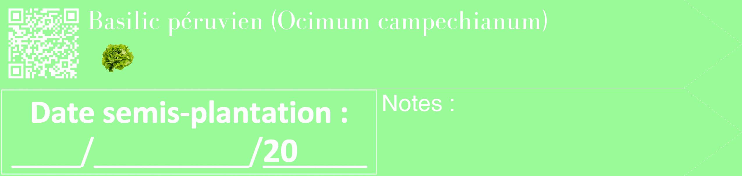 Étiquette de : Ocimum campechianum - format c - style blanche14_simple_simplebod avec qrcode et comestibilité simplifiée