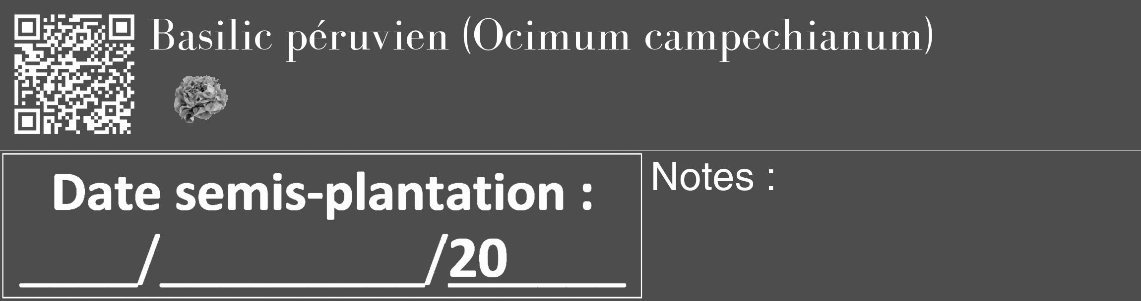 Étiquette de : Ocimum campechianum - format c - style blanche28_basique_basiquebod avec qrcode et comestibilité simplifiée