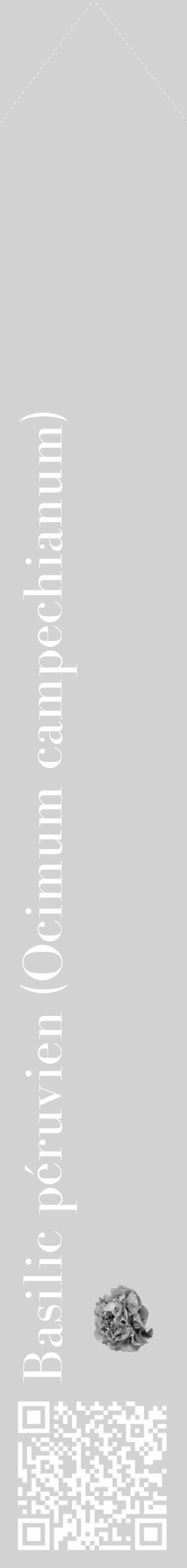 Étiquette de : Ocimum campechianum - format c - style blanche14_simple_simplebod avec qrcode et comestibilité simplifiée - position verticale