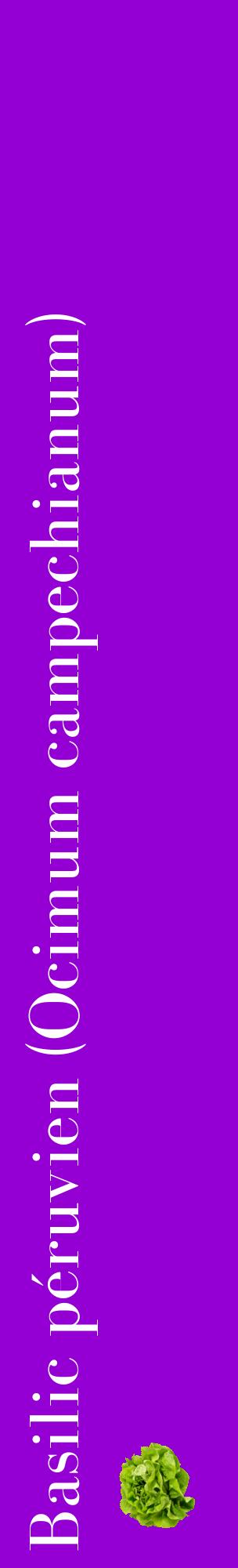 Étiquette de : Ocimum campechianum - format c - style blanche48_basiquebod avec comestibilité simplifiée