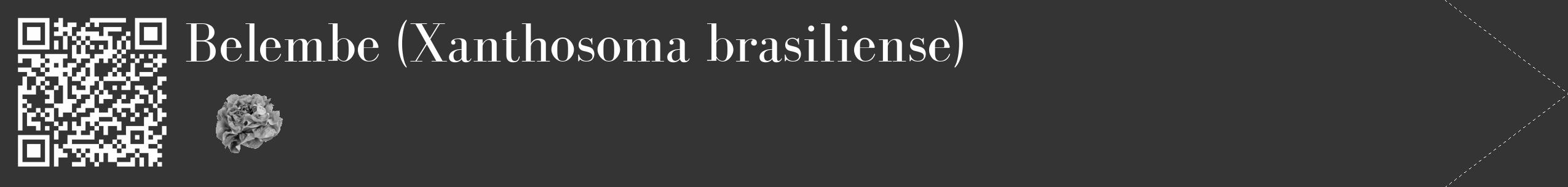 Étiquette de : Xanthosoma brasiliense - format c - style blanche46_simple_simplebod avec qrcode et comestibilité simplifiée