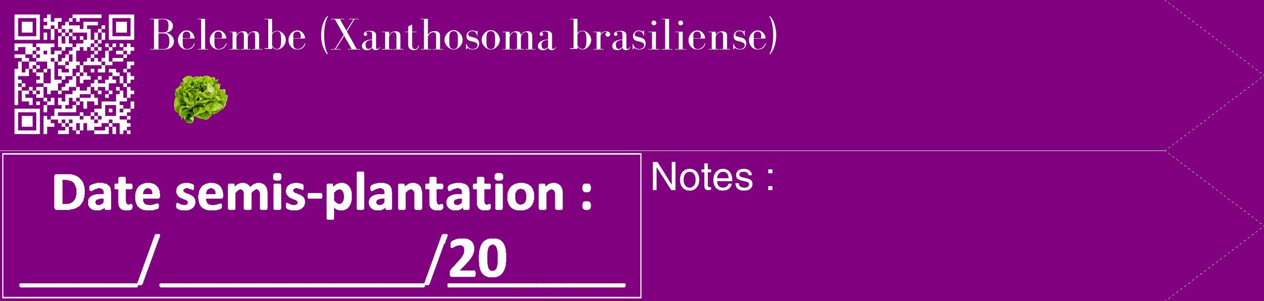 Étiquette de : Xanthosoma brasiliense - format c - style blanche46_simple_simplebod avec qrcode et comestibilité simplifiée