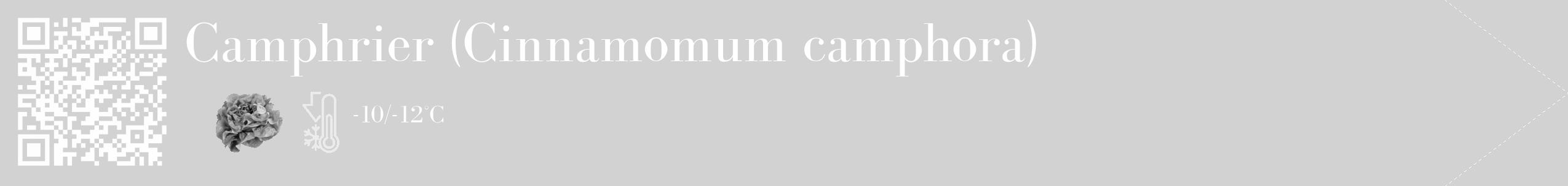 Étiquette de : Cinnamomum camphora - format c - style blanche14_simple_simplebod avec qrcode et comestibilité simplifiée