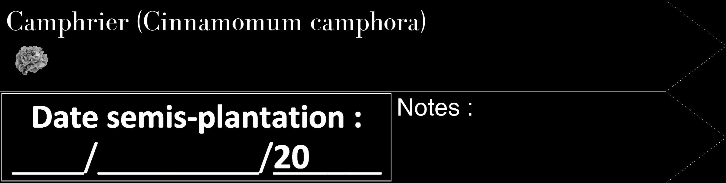 Étiquette de : Cinnamomum camphora - format c - style blanche59_simple_simplebod avec comestibilité simplifiée