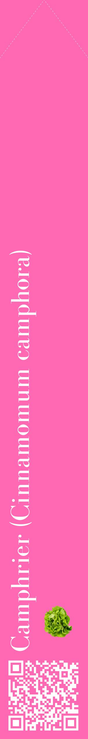 Étiquette de : Cinnamomum camphora - format c - style blanche42_simplebod avec qrcode et comestibilité simplifiée