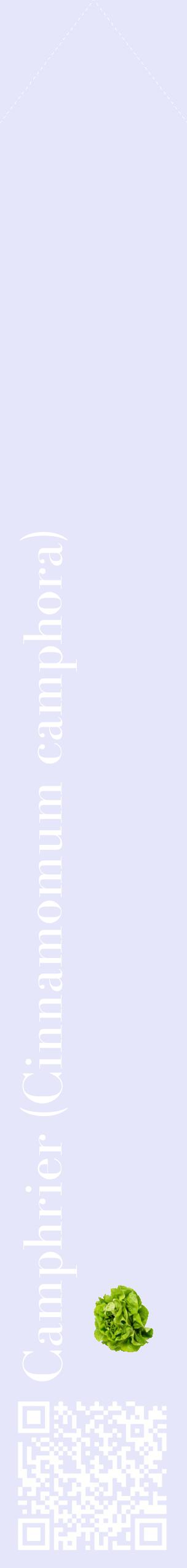 Étiquette de : Cinnamomum camphora - format c - style blanche55_simplebod avec qrcode et comestibilité simplifiée