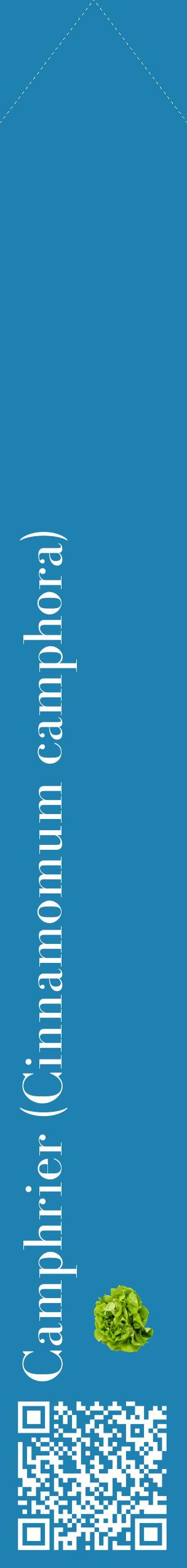Étiquette de : Cinnamomum camphora - format c - style blanche6_simplebod avec qrcode et comestibilité simplifiée