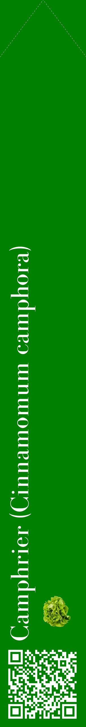 Étiquette de : Cinnamomum camphora - format c - style blanche9_simplebod avec qrcode et comestibilité simplifiée