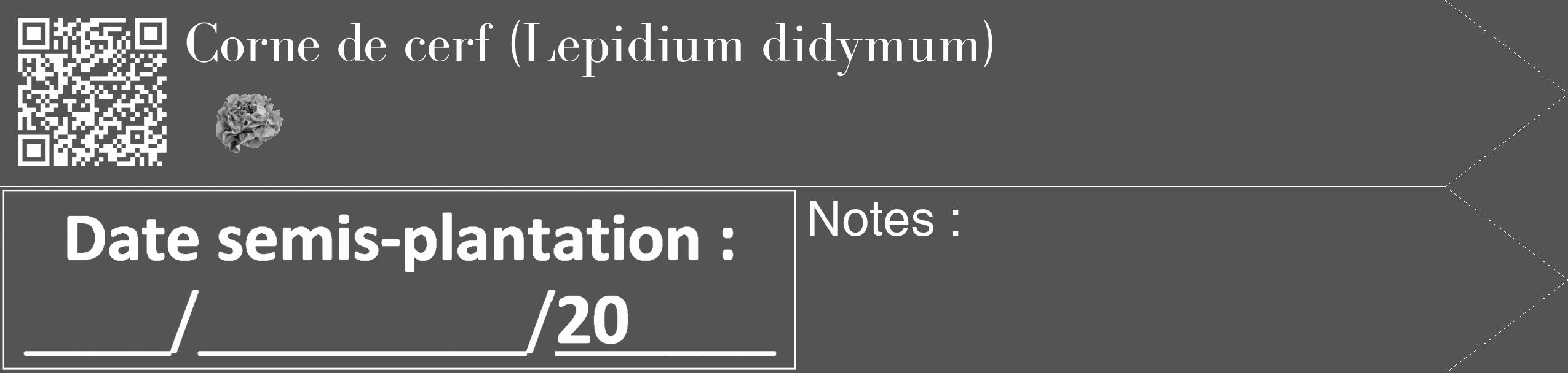 Étiquette de : Lepidium didymum - format c - style blanche30_simple_simplebod avec qrcode et comestibilité simplifiée