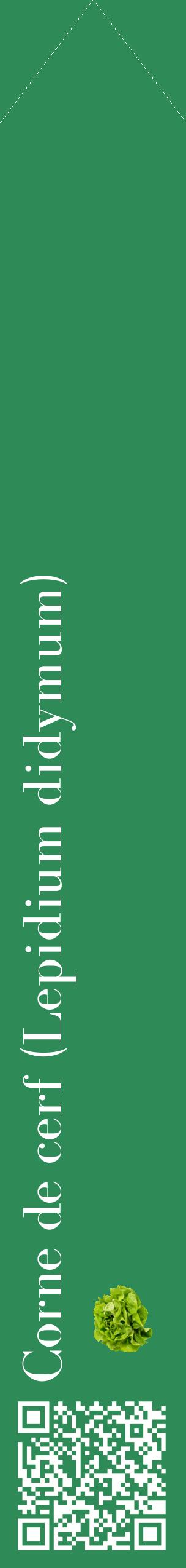Étiquette de : Lepidium didymum - format c - style blanche11_simplebod avec qrcode et comestibilité simplifiée