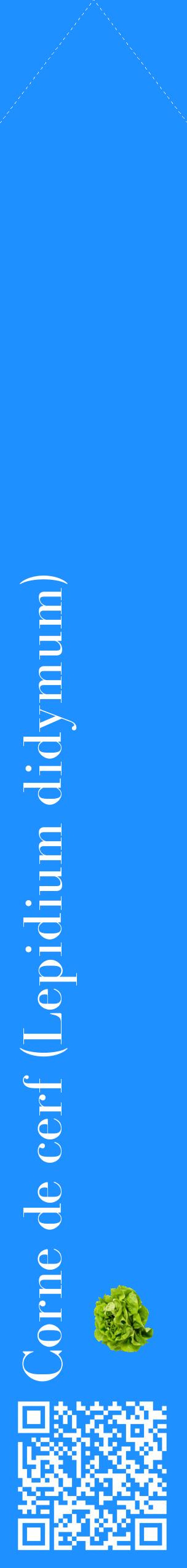 Étiquette de : Lepidium didymum - format c - style blanche3_simplebod avec qrcode et comestibilité simplifiée