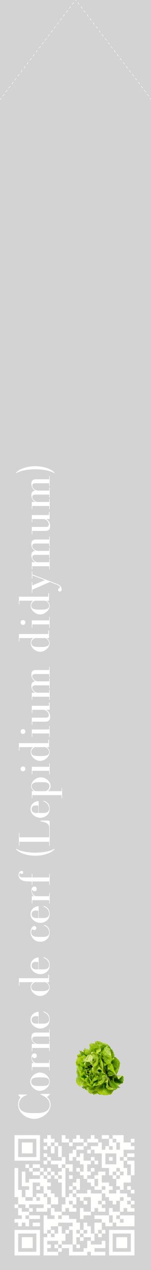 Étiquette de : Lepidium didymum - format c - style blanche56_simplebod avec qrcode et comestibilité simplifiée
